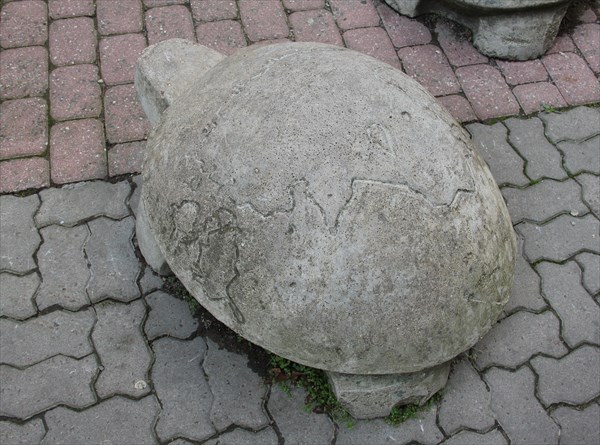 212-Каменная черепаха